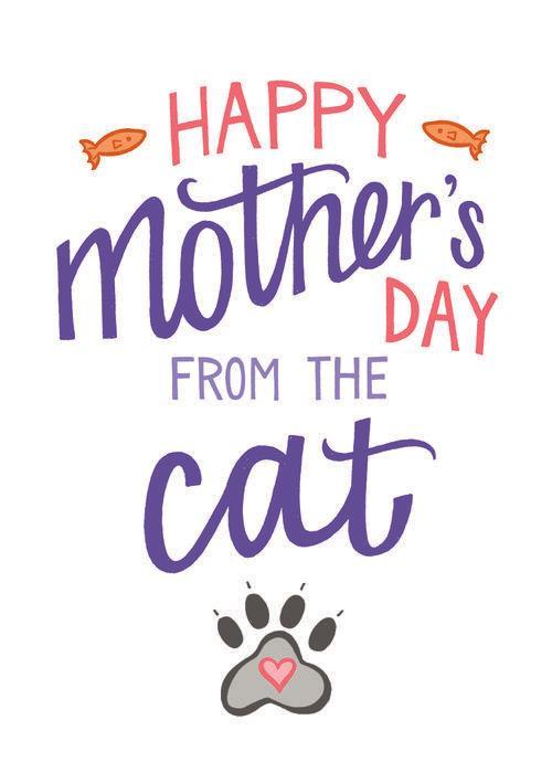 Image of card