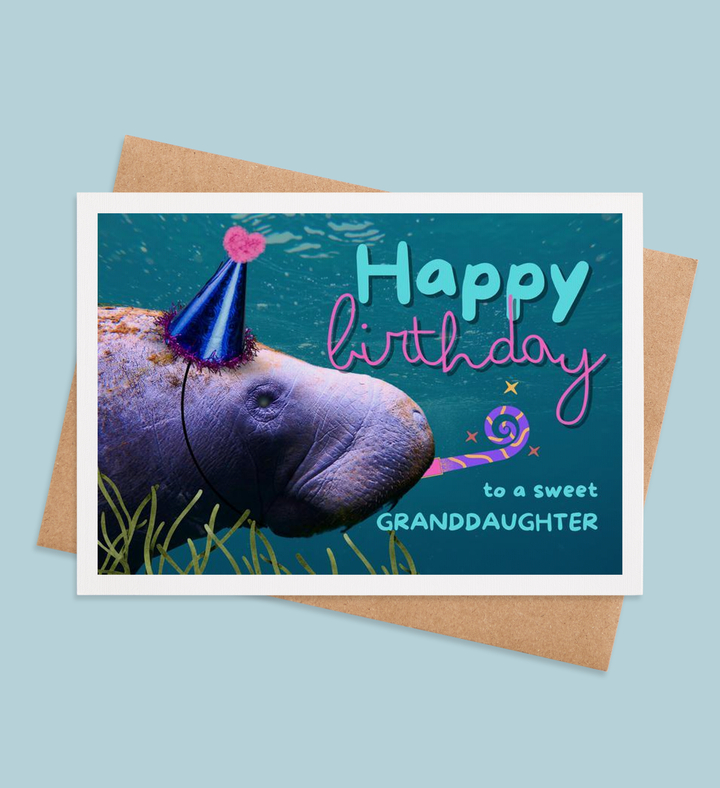Manatee Merriments 