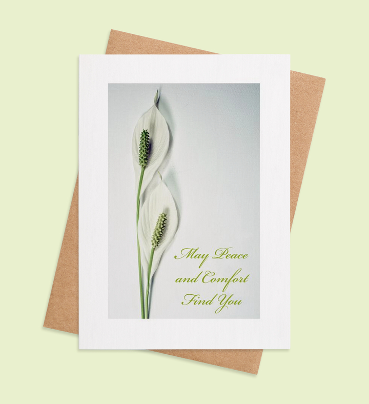 Lily's Whisper of Comfort Greeting Card Image