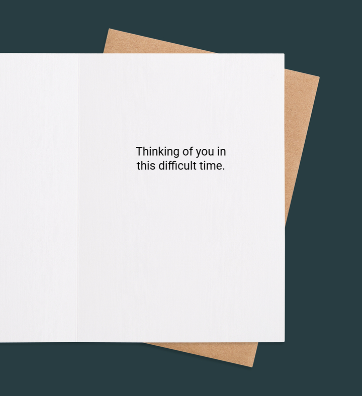 Elegance of Solace Inside view