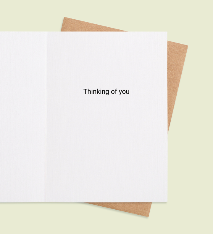 Potted Positivity Inside view