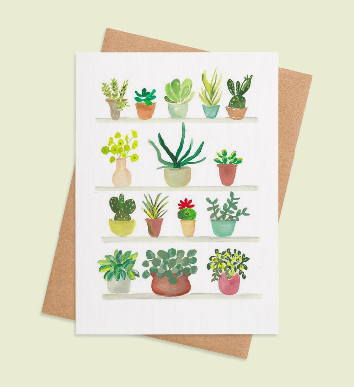 Potted Positivity Image